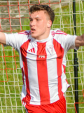 David Veselý